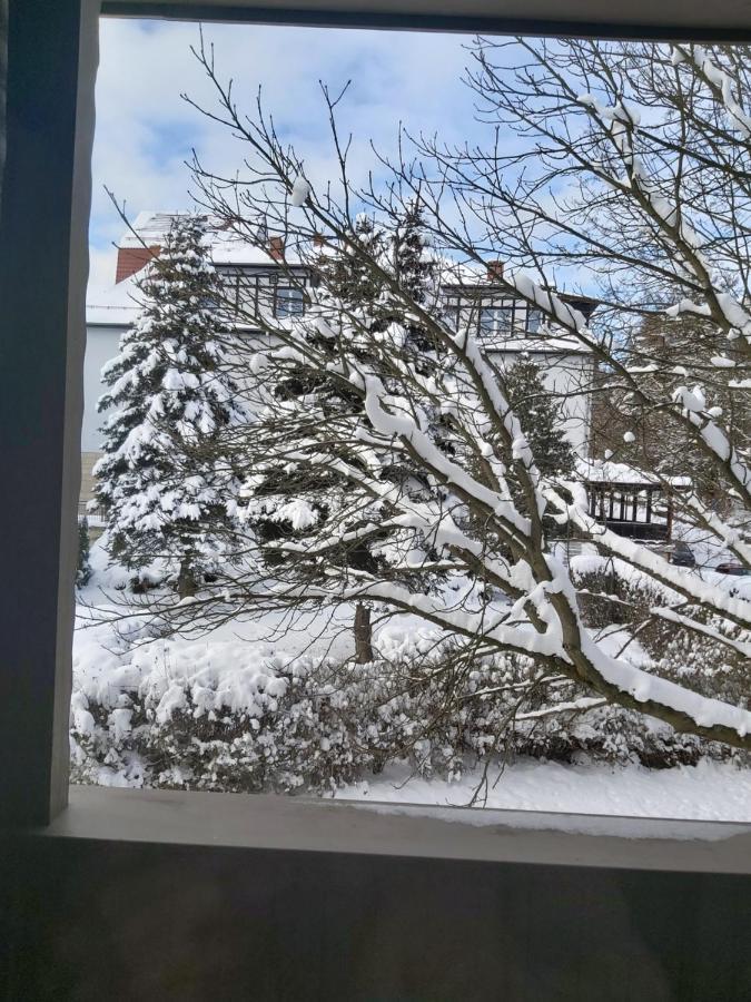 Villa Lessing Bad Altheide Exterior foto