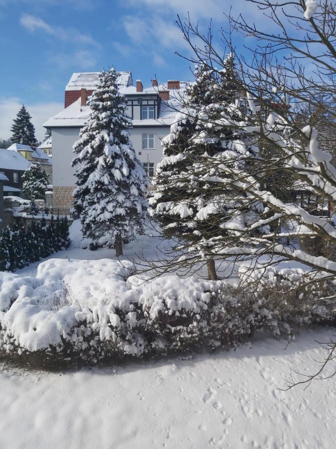 Villa Lessing Bad Altheide Exterior foto